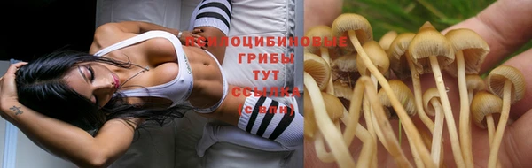 a pvp Абдулино