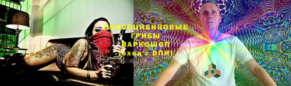 сатива Абинск