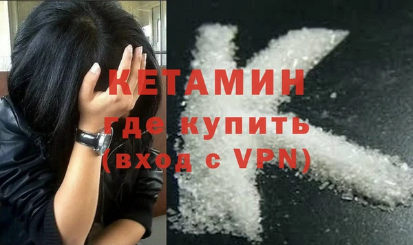 сатива Абинск